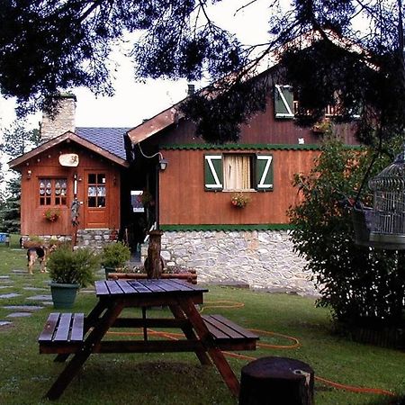 Niu Dels Falcons Panzió La Molina  Kültér fotó